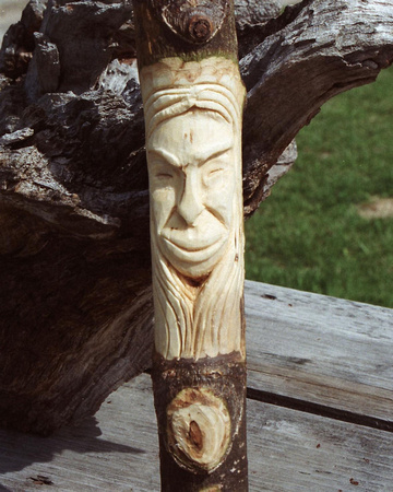 carved hiking stick